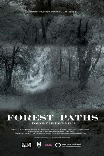 Forest Paths forget Heidegger