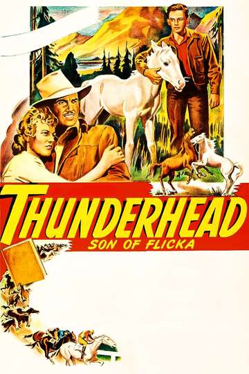 Thunderhead  Son of Flicka