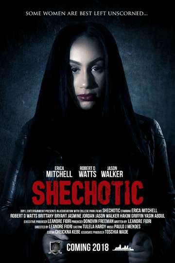 SheChotic Poster