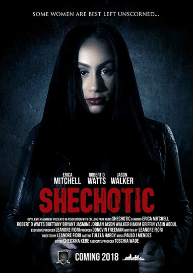 SheChotic Poster