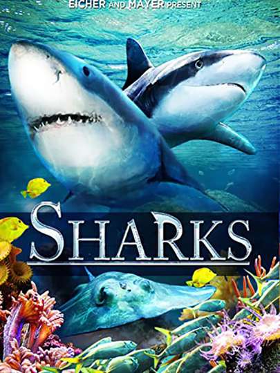 Sharks in 3D Poster