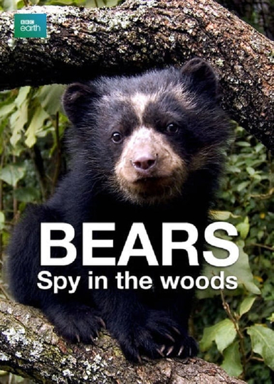 Bears: Spy in the Woods Poster