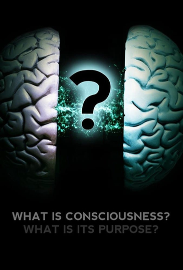 What Is Consciousness What Is Its Purpose Poster