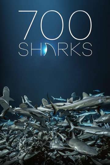 700 Sharks Poster
