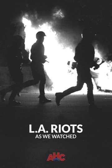 LA Riots As We Watched