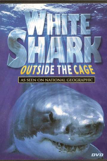 White Shark  Outside The Cage