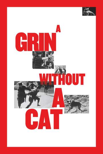 A Grin Without a Cat Poster
