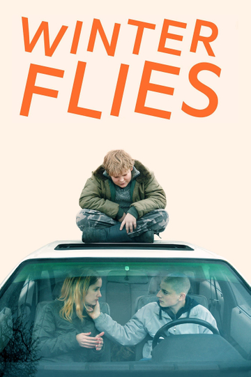 Winter Flies Poster