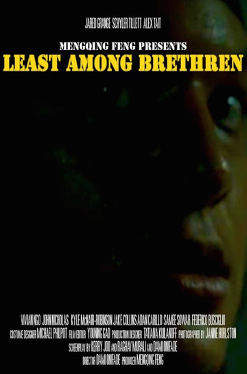 Least Among Brethren Poster