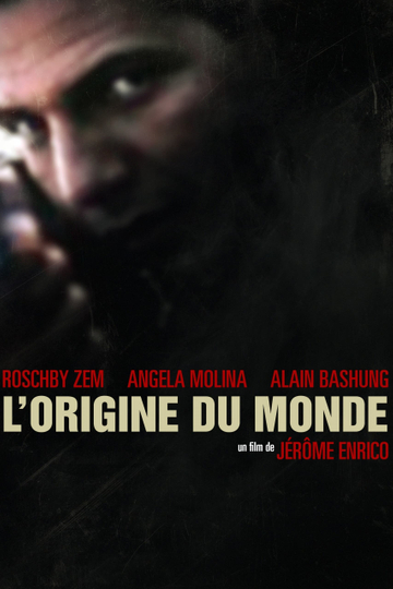 L'origine du monde Poster