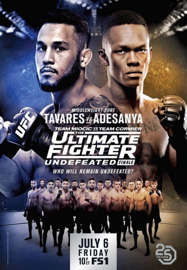 The Ultimate Fighter 27 Finale Poster