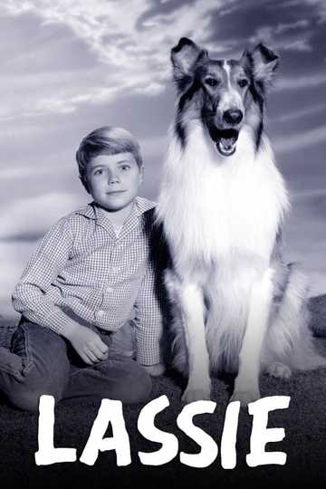 Lassie Poster