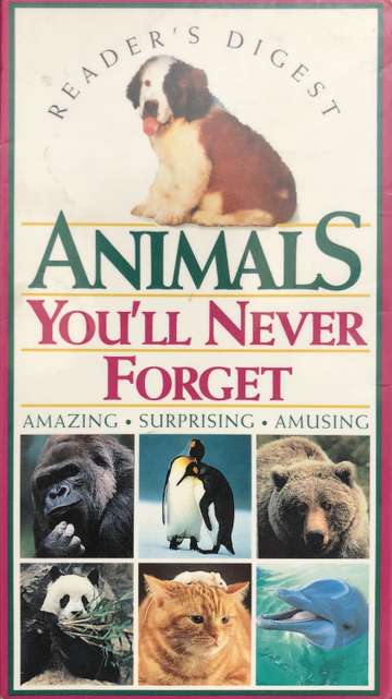 Animals Youll Never Forget