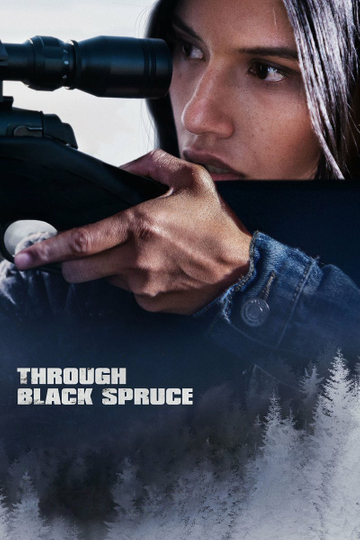 Through Black Spruce Poster