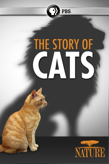 The Story of Cats