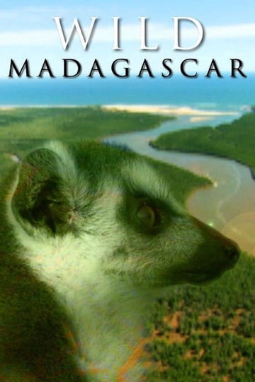 Wild Madagascar