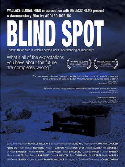Blind Spot Poster