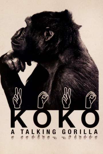 Koko A Talking Gorilla Poster