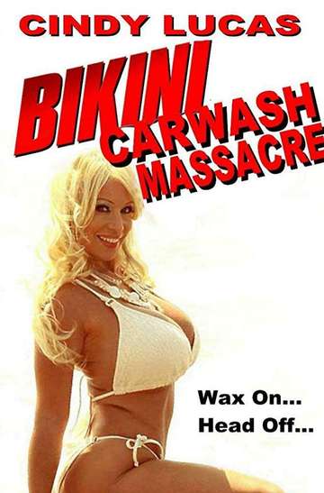 Bikini Car Wash Massacre Poster