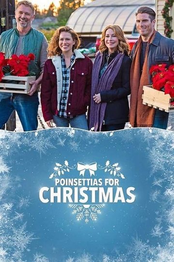 Poinsettias for Christmas Poster