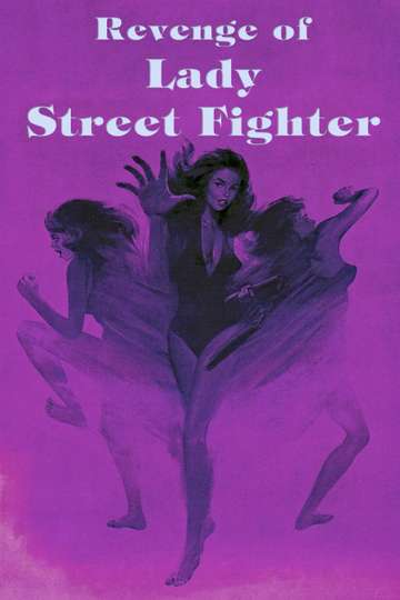 Revenge of Lady Street Fighter Poster