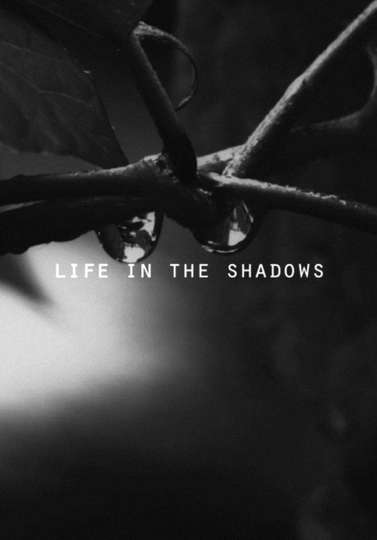 Life in the Shadows Poster
