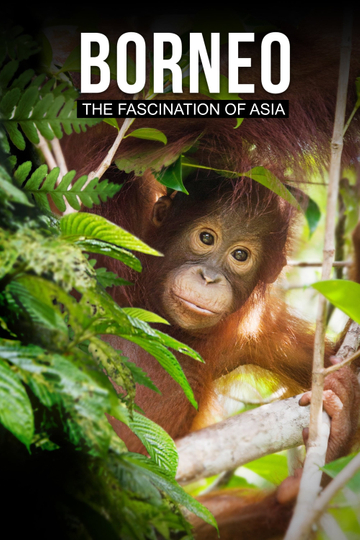 Borneo The Fascination of Asia Poster