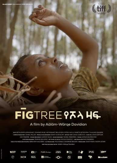 Fig Tree Poster