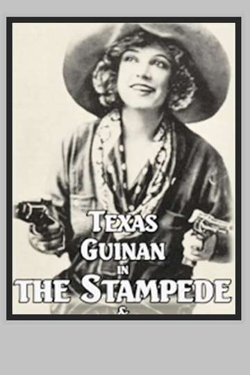 The Stampede Poster