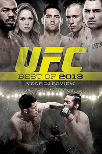 UFC Best of 2013