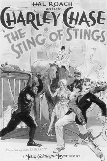 The Sting of Stings Poster