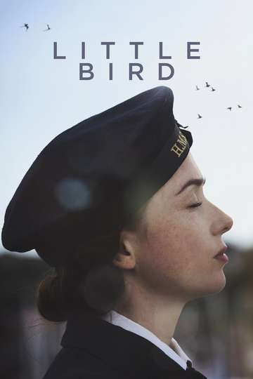 Little Bird Poster