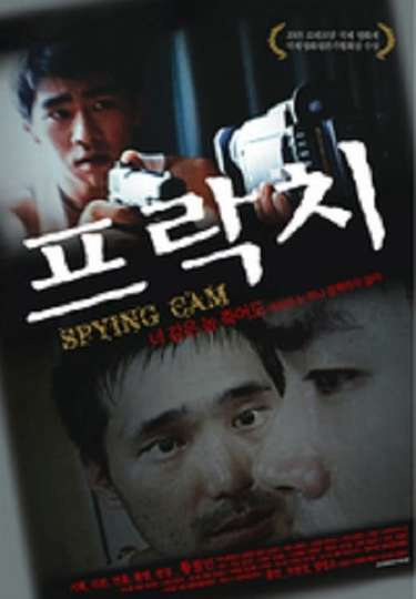 Spying Cam Poster