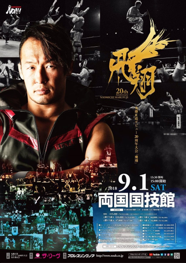 NOAH Naomichi Marufuji 20th Anniversary Show