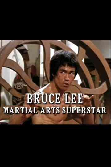 Bruce Lee Martial Arts Superstar