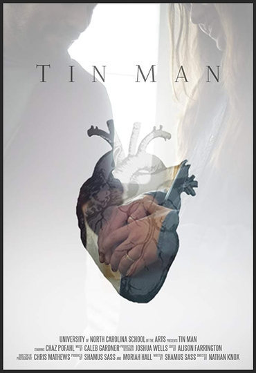 Tin Man Poster