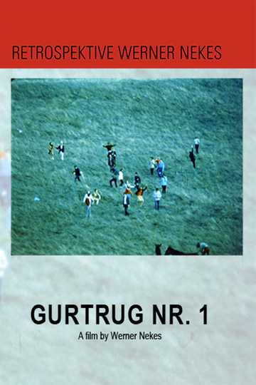 Gurtrug N1