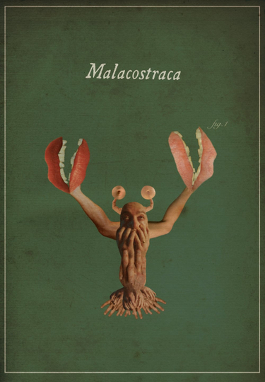 Malacostraca