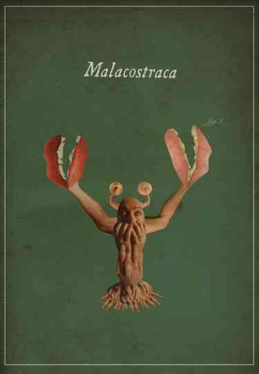 Malacostraca Poster