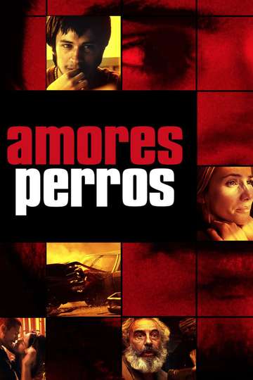 Amores Perros