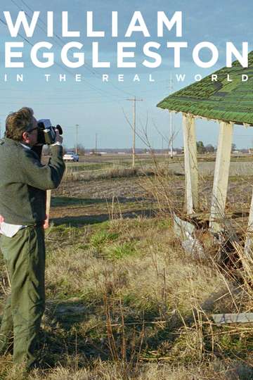 William Eggleston in the Real World Poster