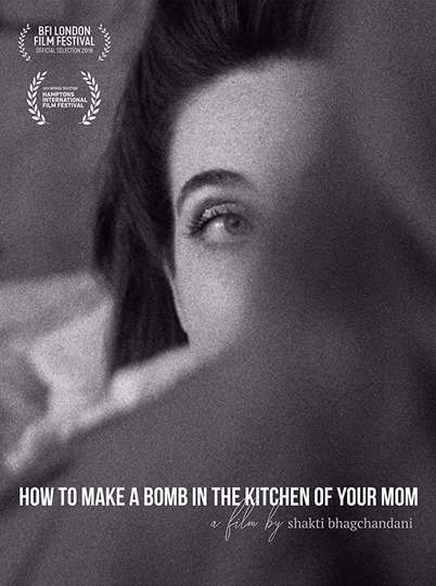 How to Make a Bomb in the Kitchen of Your Mom