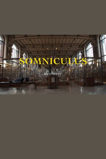 Somniculus