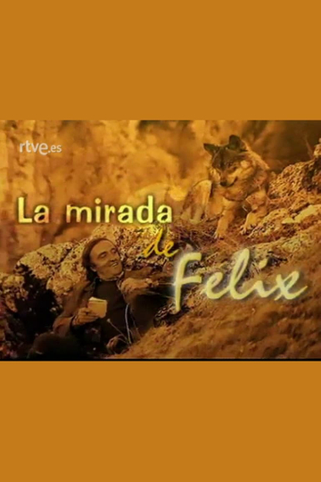 La mirada de Félix Poster