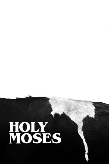 Holy Moses Poster