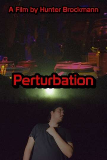 Perturbation Poster