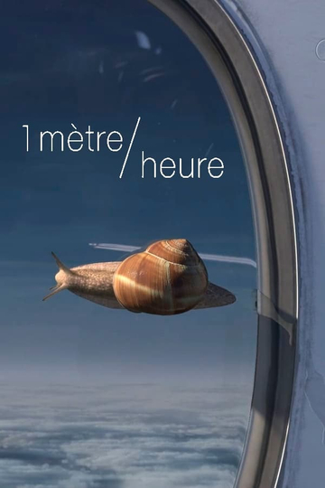 1 mètreheure