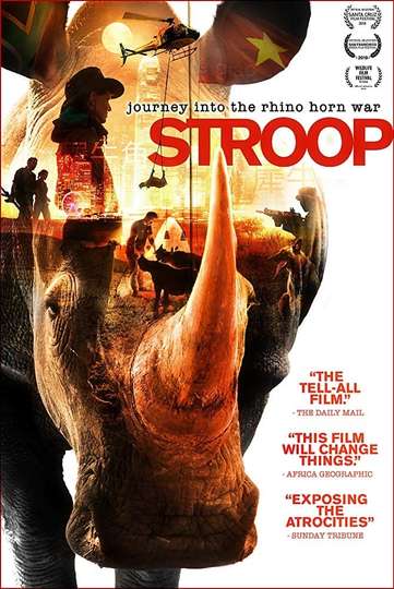 Stroop Journey into the Rhino Horn War