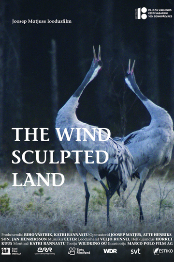 The Wind Sculpted Land