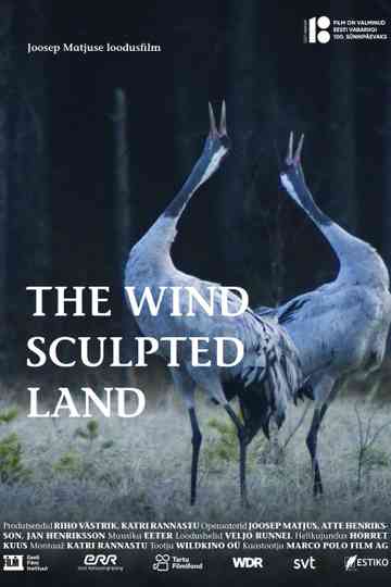 The Wind Sculpted Land Poster